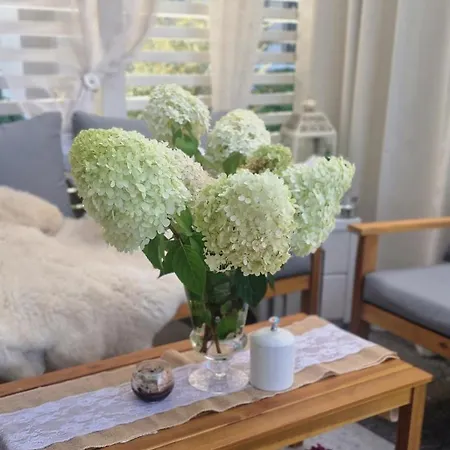 Ferienhaus Daglezja Kołczewo