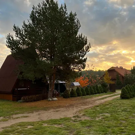 Daglezja *