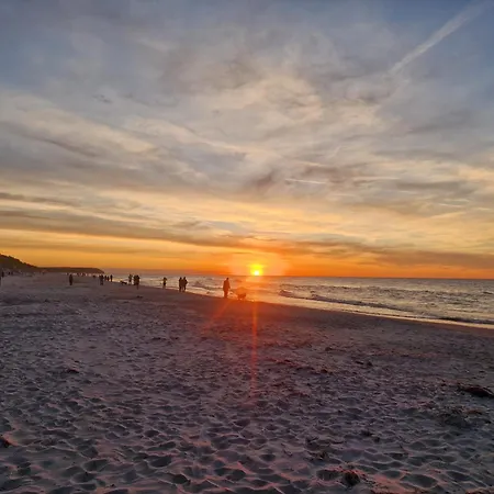 Daglezja * Kołczewo