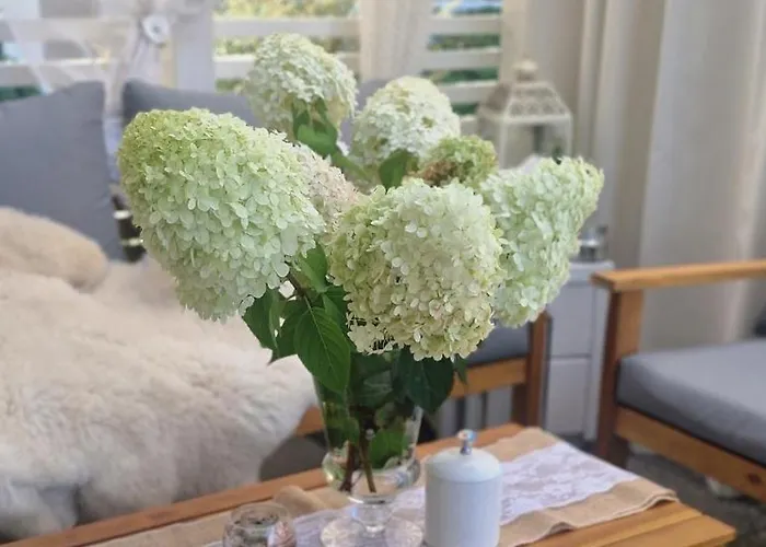 Hébergement de vacances Daglezja Kołczewo